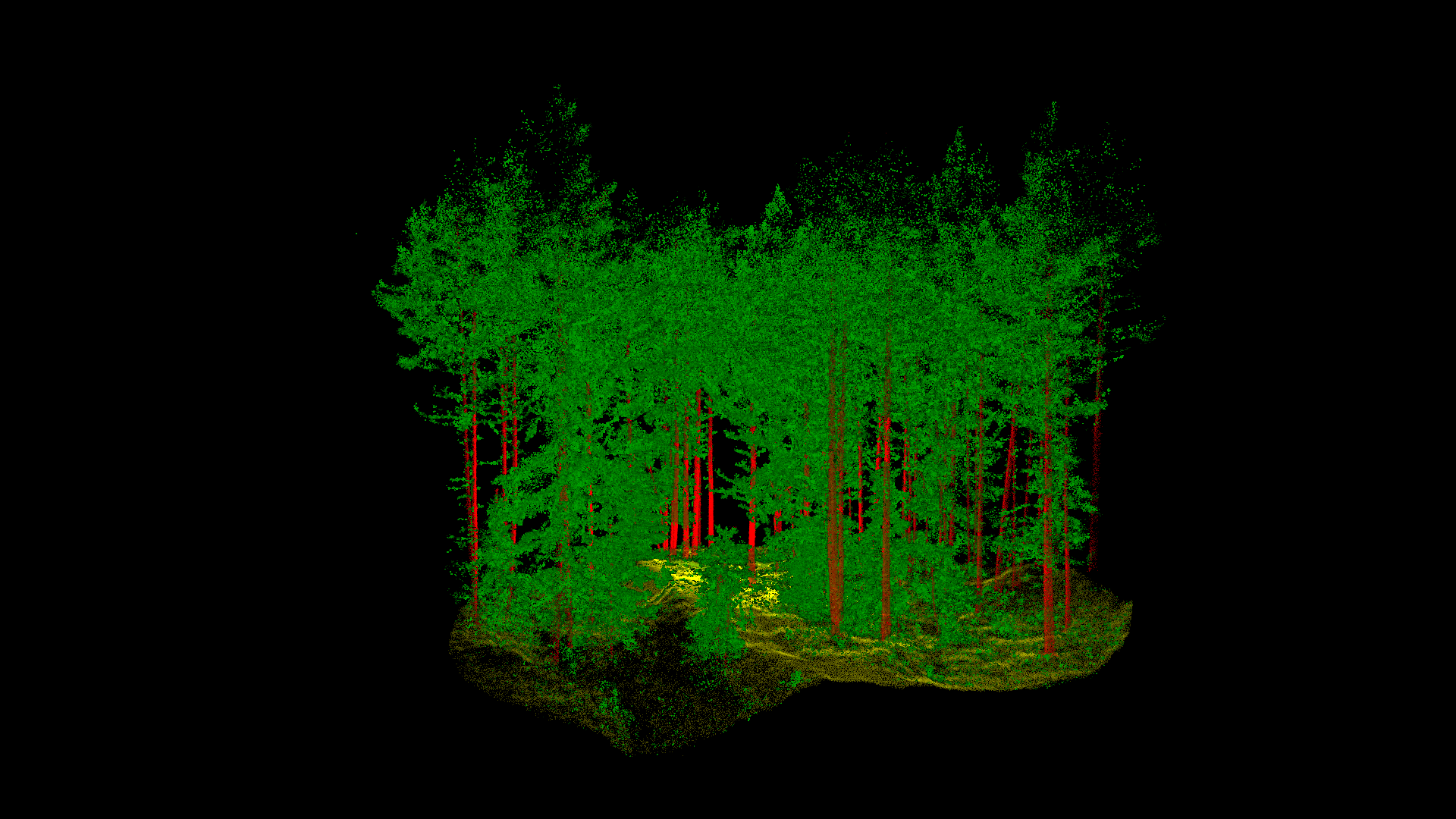 LiDAR point cloud of a forest stand, canopy in green and stems in red
